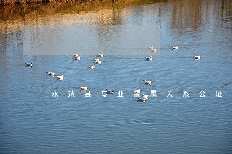 永靖县专业亲属关系公证律师 永靖县专业亲属关系公证律师