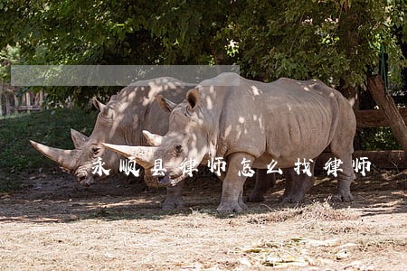 永顺县律师怎么找律师 永顺县律师怎么找律师