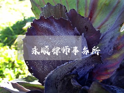 永顺律师事务所 永顺律师事务所