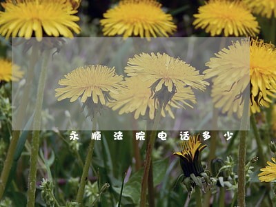 永顺法院电话多少 永顺法院电话多少