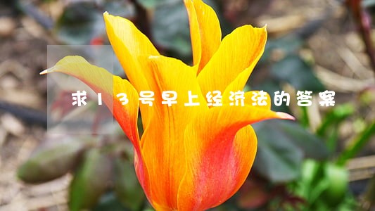 求13号早上经济法的答案 求13号早上经济法的答案