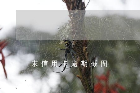求信用卡逾期截图 求信用卡逾期截图