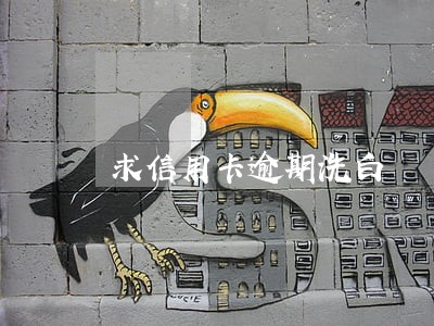 求信用卡逾期洗白 求信用卡逾期洗白