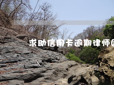 求助信用卡逾期律师团队