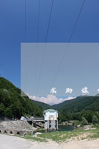 求助媒体打什么电话