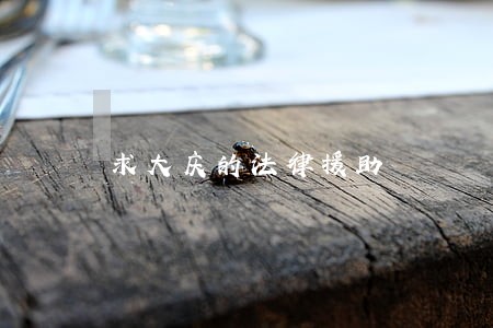 求大庆的法律援助 求大庆的法律援助