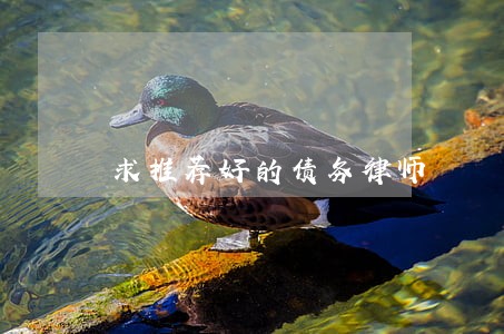 求推荐好的债务律师