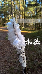 求法律大全