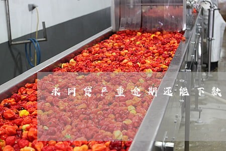 求网贷严重逾期还能下款 求网贷严重逾期还能下款