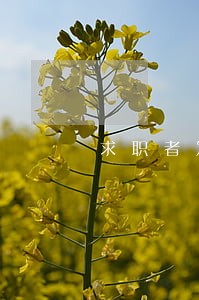 求职者发现中介违法可举报 求职者发现中介违法可举报