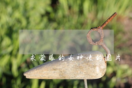 求蒙眼的女神像的图片 求蒙眼的女神像的图片
