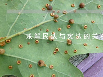 求解民法与宪法的关系 求解民法与宪法的关系