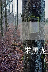 求黑龙江著名的律师 求黑龙江著名的律师