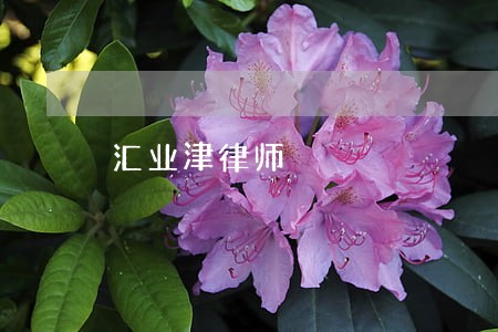 汇业津律师
