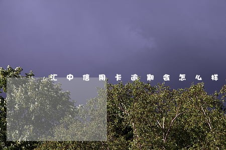 汇中信用卡逾期会怎么样