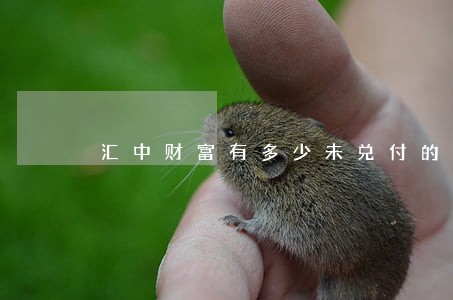 汇中财富有多少未兑付的逾期的 汇中财富有多少未兑付的逾期的