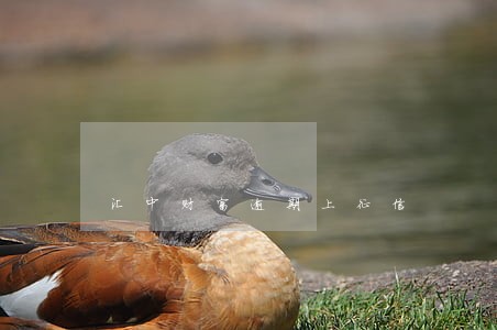 汇中财富逾期上征信 汇中财富逾期上征信