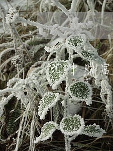 汇中财富逾期多少亿