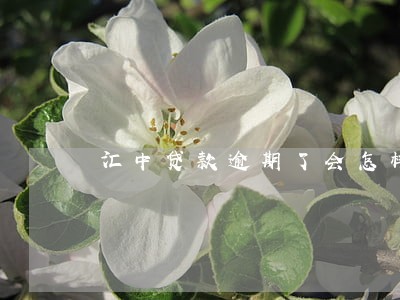 汇中贷款逾期了会怎样 汇中贷款逾期了会怎样