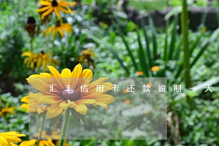 汇丰信用卡还款逾期一天了 汇丰信用卡还款逾期一天了