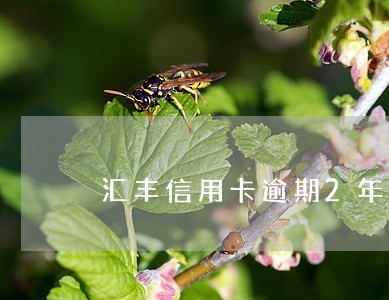 汇丰信用卡逾期2年了 汇丰信用卡逾期2年了