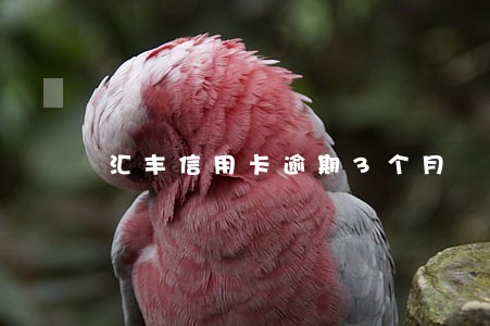 汇丰信用卡逾期3个月 汇丰信用卡逾期3个月