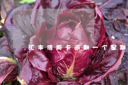 汇丰信用卡逾期一个星期 汇丰信用卡逾期一个星期