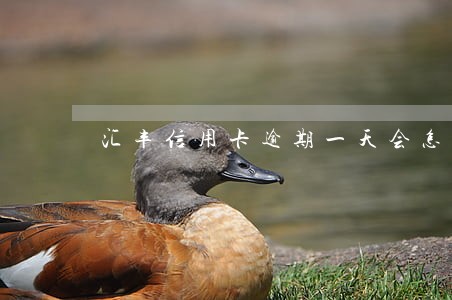 汇丰信用卡逾期一天会怎样 汇丰信用卡逾期一天会怎样
