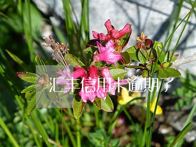 汇丰信用卡逾期了 汇丰信用卡逾期了