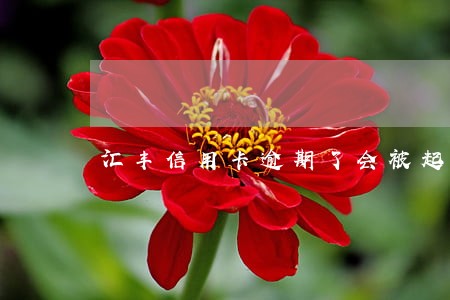汇丰信用卡逾期了会被起诉吗 汇丰信用卡逾期了会被起诉吗