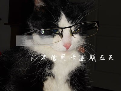 汇丰信用卡逾期五天 汇丰信用卡逾期五天
