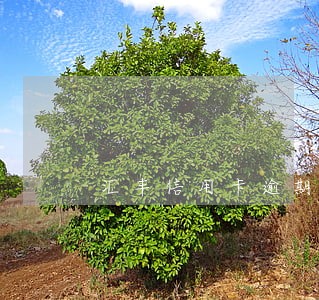 汇丰信用卡逾期会起诉吗 汇丰信用卡逾期会起诉吗