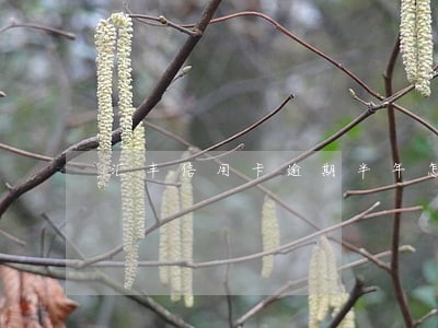 汇丰信用卡逾期半年怎么办
