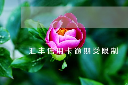 汇丰信用卡逾期受限制