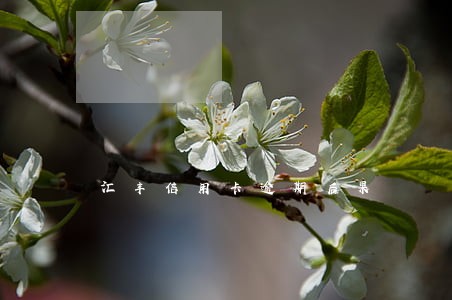 汇丰信用卡逾期后果 汇丰信用卡逾期后果