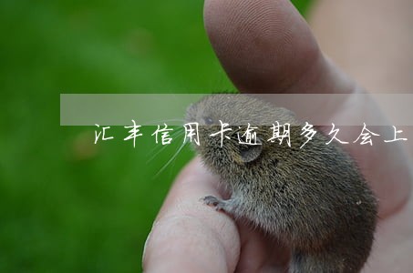 汇丰信用卡逾期多久会上门