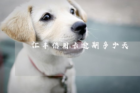汇丰信用卡逾期多少天