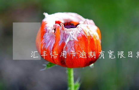 汇丰信用卡逾期有宽限日期吗 汇丰信用卡逾期有宽限日期吗