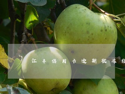 汇丰信用卡逾期被冻结怎么办 汇丰信用卡逾期被冻结怎么办