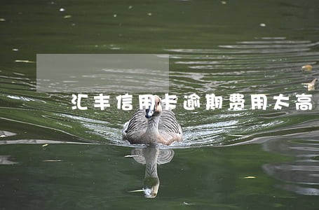 汇丰信用卡逾期费用太高 汇丰信用卡逾期费用太高