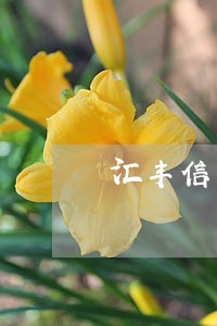 汇丰信用卡逾期难协商 汇丰信用卡逾期难协商