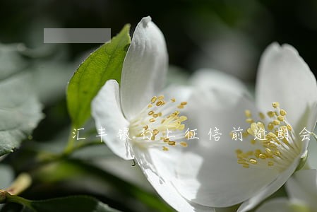 汇丰银行上征信前逾期会上征信吗 汇丰银行上征信前逾期会上征信吗