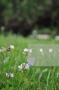 汇丰银行信用卡逾期7天 汇丰银行信用卡逾期7天