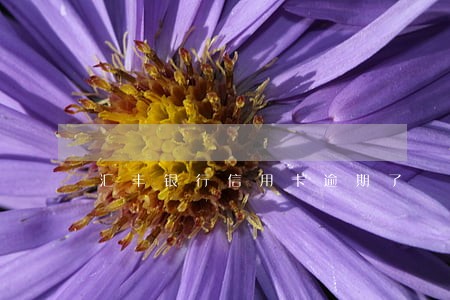 汇丰银行信用卡逾期了 汇丰银行信用卡逾期了