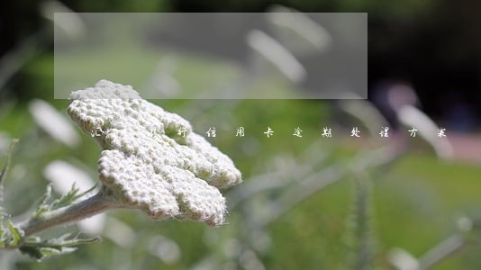 汇丰银行信用卡逾期处理方案 汇丰银行信用卡逾期处理方案