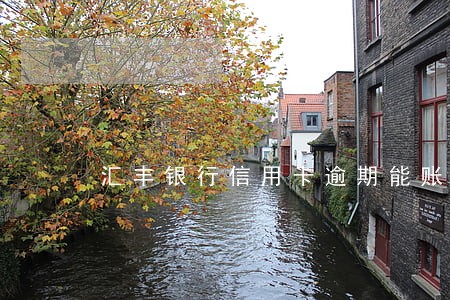 汇丰银行信用卡逾期能账单分期吗 汇丰银行信用卡逾期能账单分期吗