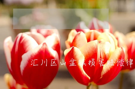 汇川区山盆镇损害赔偿律师 汇川区山盆镇损害赔偿律师