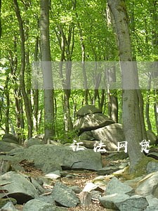 汇法网贷款逾期案件查询 汇法网贷款逾期案件查询