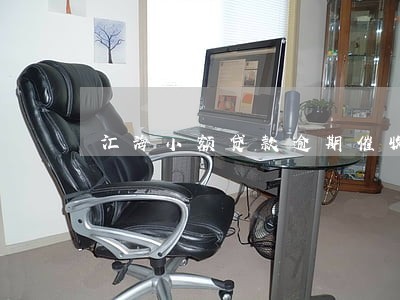 汇海小额贷款逾期催收