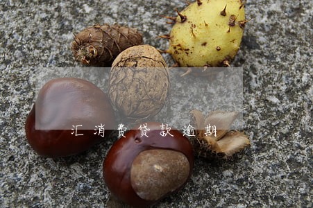 汇消费贷款逾期
